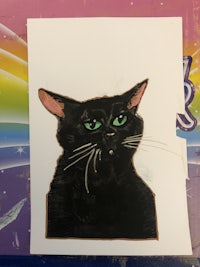 posca meme cat